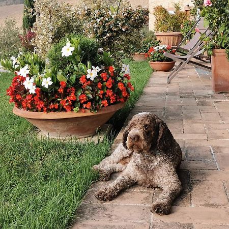 Le Logge Ritrovate Bed and Breakfast Acquasparta Esterno foto