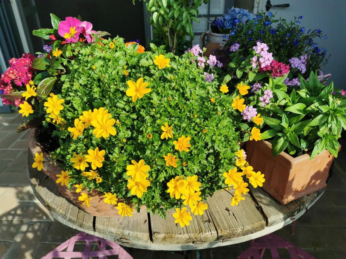 Le Logge Ritrovate Bed and Breakfast Acquasparta Esterno foto