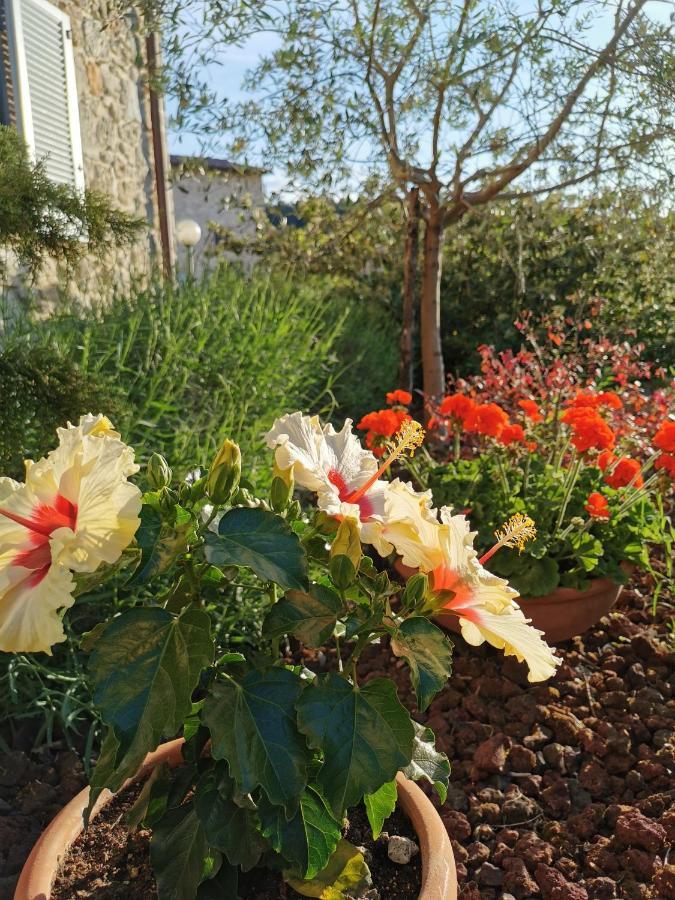 Le Logge Ritrovate Bed and Breakfast Acquasparta Esterno foto